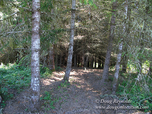 Ranch 6 has 2500 Acres of rolling green hills barns Creeks water crossing Bridges River and miles of Dirt roads Oak trees Cabins Forest land ATV Trails Camping