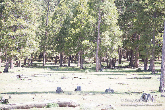 Ranch 18