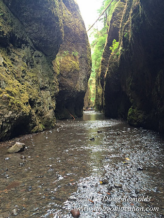 Oneonta Falls
