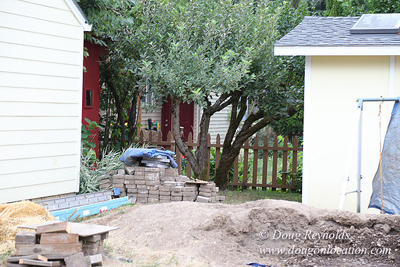 Nathan's Backyard-1683
