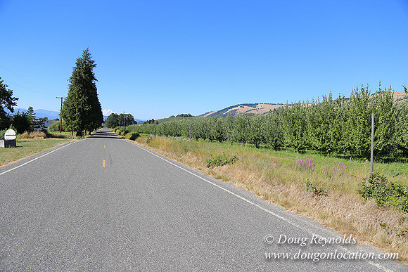 Thompson Rd Farm-8273