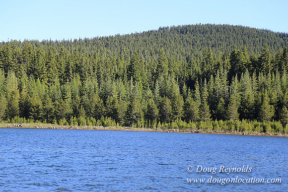 Clear Lake-3661