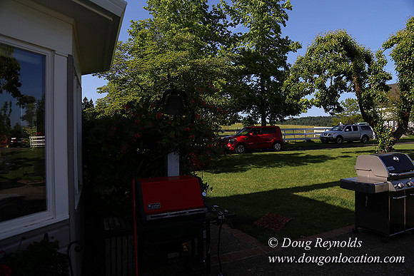 Marks House-6899