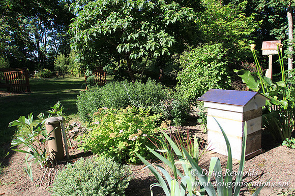 Traditional Style Home small farm with large kitchen great room, 2 story, 2 car garage on Acreage with large back yard, large front yard, garden, pond, deck, goats, bees, shop, PDX Zone