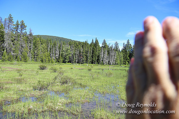 Frog Lake-3495