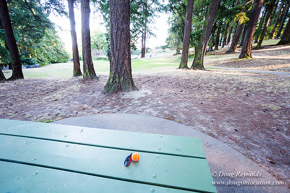 Mt Tabor Tennis Courts