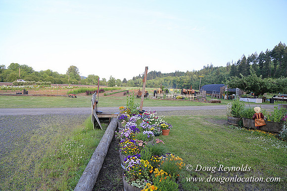 Jim Dandy Farm-5084
