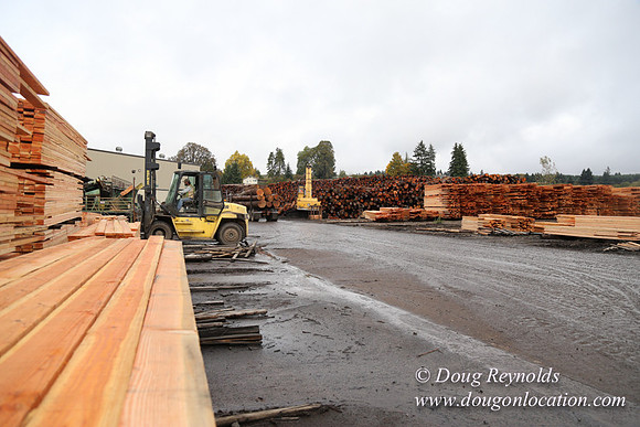 Saw Mill and Lumber Yard