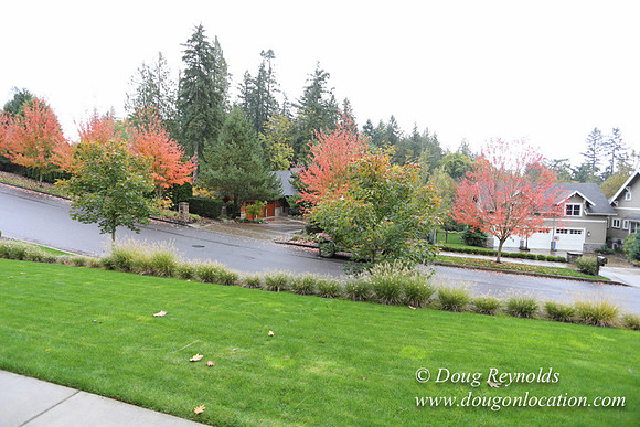 Kathy's House-0394