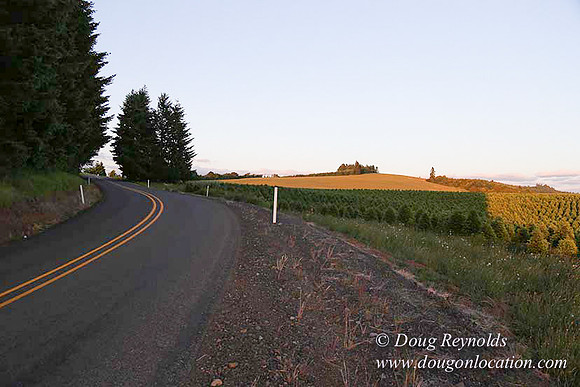 Hwy 214 M18-7677