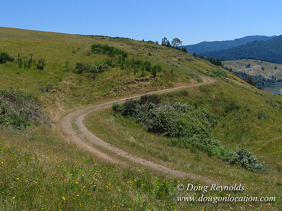 Ranch 6 has 2500 Acres of rolling green hills barns Creeks water crossing Bridges River and miles of Dirt roads Oak trees Cabins Forest land ATV Trails Camping