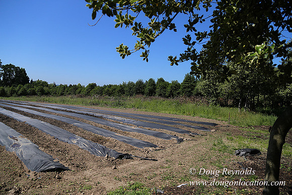 Vahan's Farm & Market-5160
