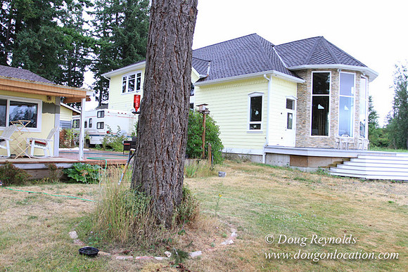 Cabin, Curtis, Dock, Green, Home, Lake, Small, WA, Washington, Yard, Yard, deck