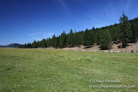 Ranch 18 South side of Hwy  has 2500 Acres of green fields Creeks water crossing Bridges on a Large Lake and miles of Dirt roads Oak trees  Forest land ATV Trails cows