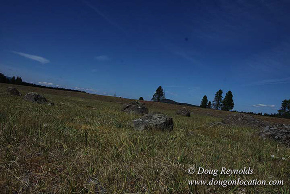 Ranch 18 South side of Hwy  has 2500 Acres of green fields Creeks water crossing Bridges on a Large Lake and miles of Dirt roads Oak trees  Forest land ATV Trails cows
