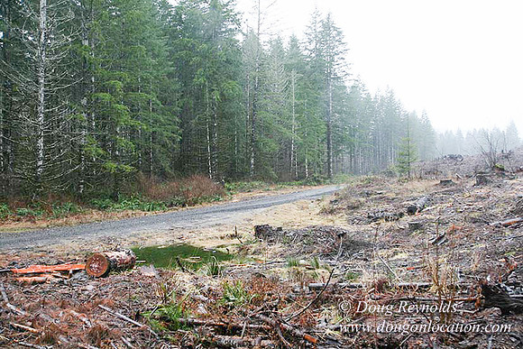 WC Clear Cut 2010-7864