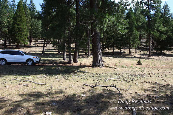 Ranch 18 South side of Hwy  has 2500 Acres of green fields Creeks water crossing Bridges on a Large Lake and miles of Dirt roads Oak trees  Forest land ATV Trails cows