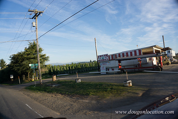Kelso Rd W Driving E-4006