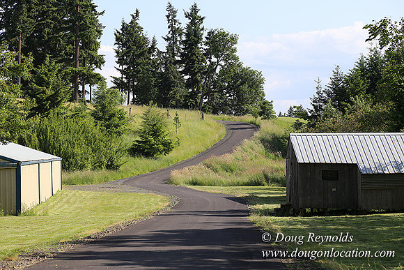 Helvetia rd at Mikes-5974