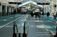 PDX C Hall-3721