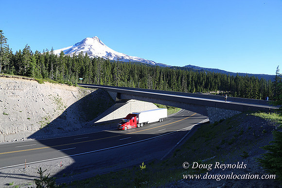 CMD Western Star Production Photo
