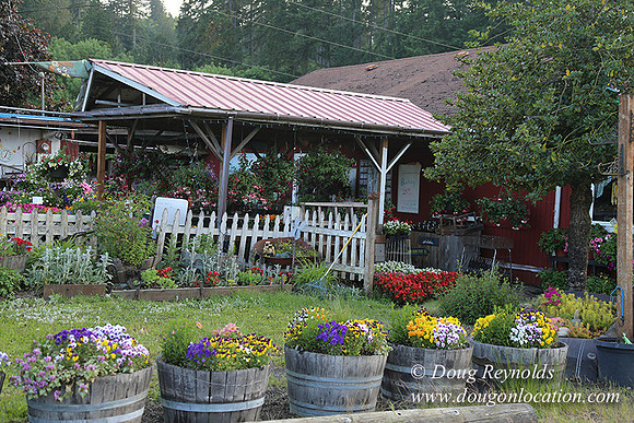 Jim Dandy Farm-5076