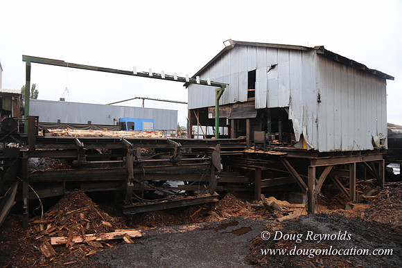 Saw Mill and Lumber Yard