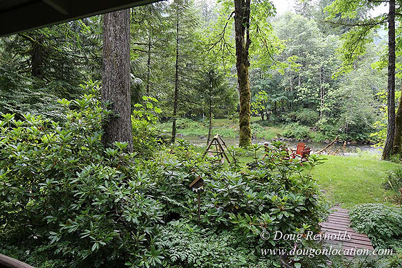 Small, Cabin, Home, River, OR, Oregon, Green, Yard,