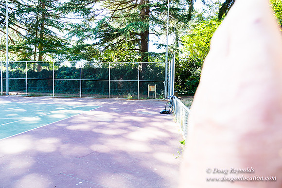 Tabor T Courts West