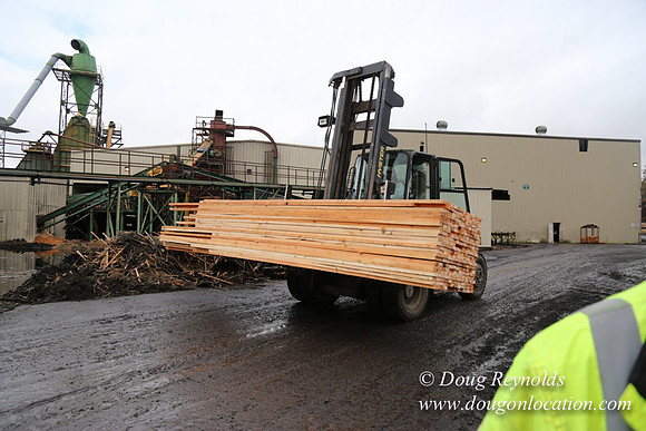 Saw Mill and Lumber Yard