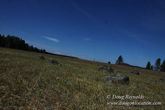 Ranch 18 South side of Hwy  has 2500 Acres of green fields Creeks water crossing Bridges on a Large Lake and miles of Dirt roads Oak trees  Forest land ATV Trails cows