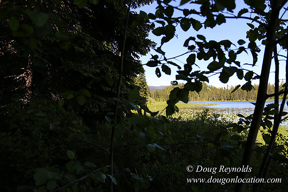 Trillium Lake-32003652