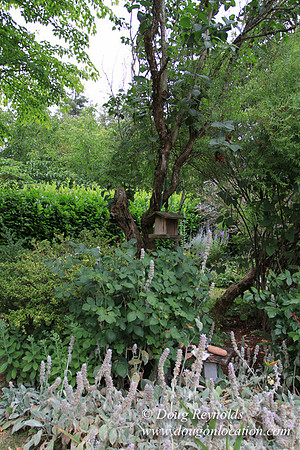 Laura’s Home This is a Portland Bungalow Style small home with a average sized and interesting back yard, nice garden with bee hive’s