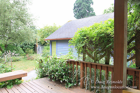 Laura’s Home This is a Portland Bungalow Style small home with a average sized and interesting back yard, nice garden with bee hive’s