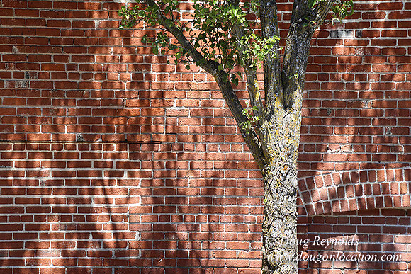 2nd St Hood River-7886