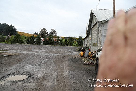 CFL Logging-0854