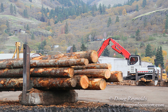 SDS Lumber-1313