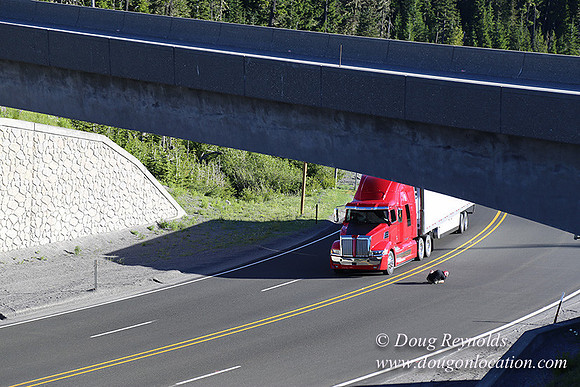 CMD Western Star Production Photo
