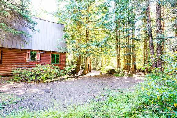 Karri's Cabin