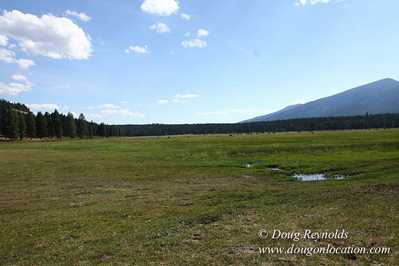 Ranch 18 South side of Hwy  has 2500 Acres of green fields Creeks water crossing Bridges on a Large Lake and miles of Dirt roads Oak trees  Forest land ATV Trails cows