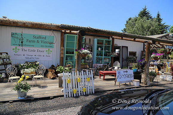 Little Door Farm Market-5394