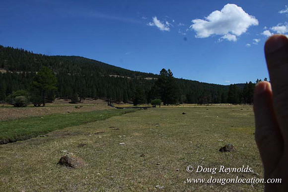 Ranch 18 South side of Hwy  has 2500 Acres of green fields Creeks water crossing Bridges on a Large Lake and miles of Dirt roads Oak trees  Forest land ATV Trails cows