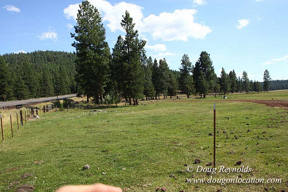 Ranch 18 South side of Hwy  has 2500 Acres of green fields Creeks water crossing Bridges on a Large Lake and miles of Dirt roads Oak trees  Forest land ATV Trails cows