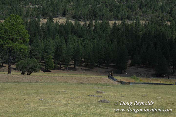 Ranch 18 South side of Hwy  has 2500 Acres of green fields Creeks water crossing Bridges on a Large Lake and miles of Dirt roads Oak trees  Forest land ATV Trails cows