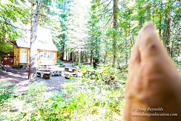 Karri's Cabin