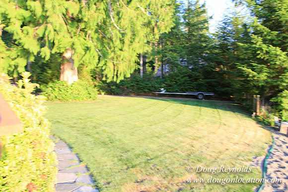 Boat, Cabin, Dock, "Doug's House lake", Home, WA, Washington, Yard, deck, "green. Beach"