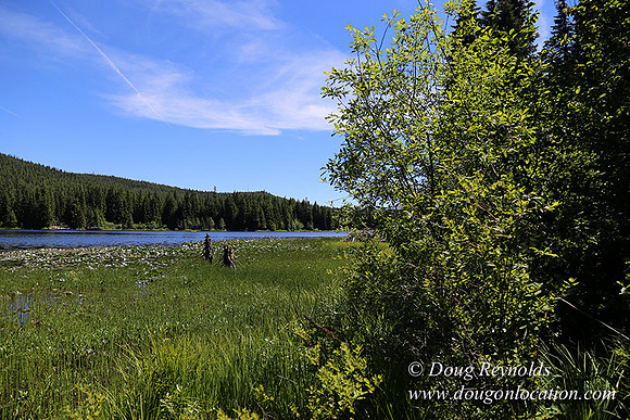 Trillium Lake-32003641