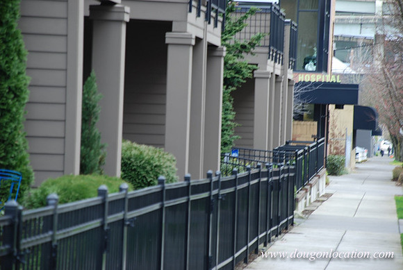 20th Avenue Town Houses-0800