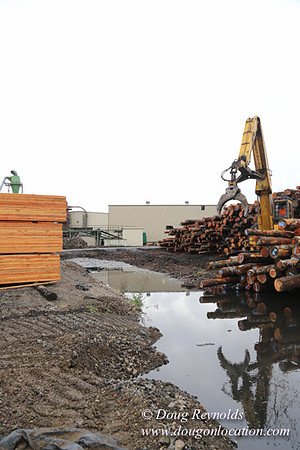Saw Mill and Lumber Yard