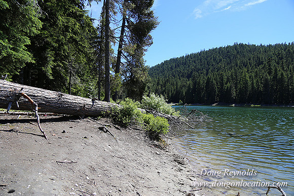 Frog Lake-3536